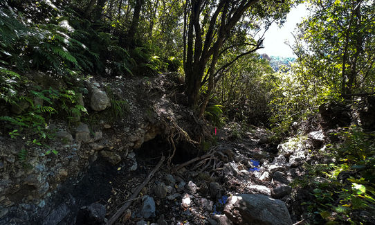 Tauherenikau Gorge Track, Wellington
