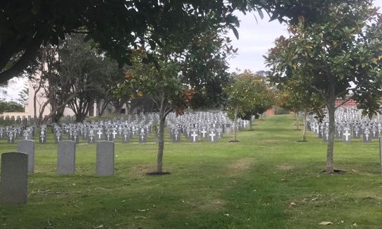 Graveyard Shift, Wellington