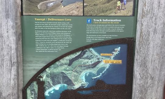 Deliverance Cove & Lighthouse Loop, Wellington