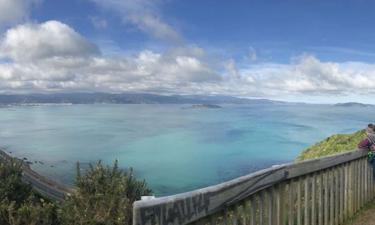  Te Ara Papararangi Views, Wellington