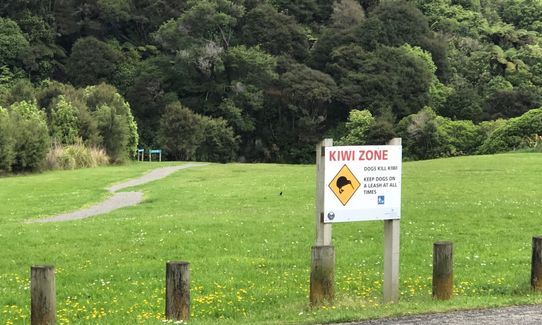 Wainuiomata Recreation Area, Wellington