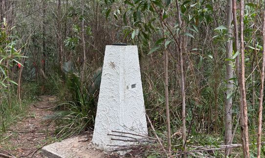 Mogo Trig