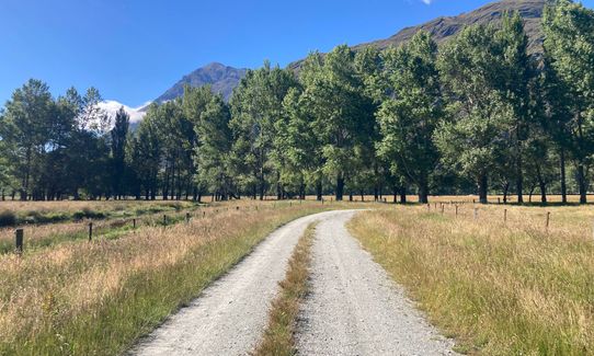 Glacier Burn Track - East Matukituki, Otago