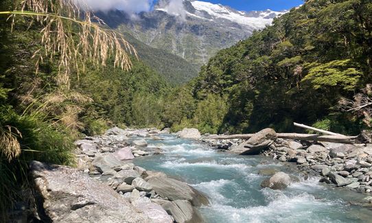 Glacier Burn Track - East Matukituki, Otago