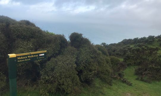 Makara Walkway, Wellington