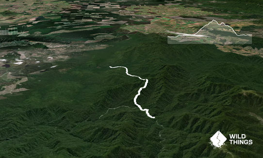 Into Cascade, Waikato