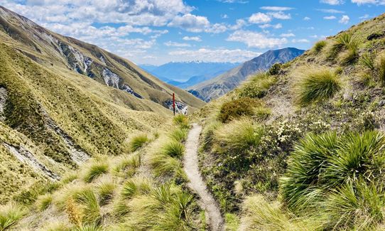 Jack Hall's Saddle, Otago