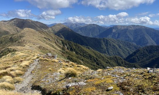 Jumbo - Holdsworth Circuit, Wellington