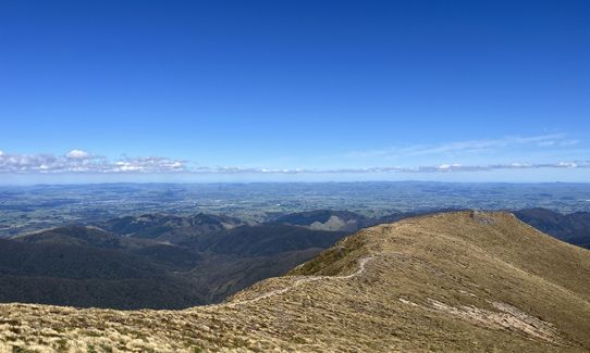 Jumbo - Holdsworth Circuit, Wellington