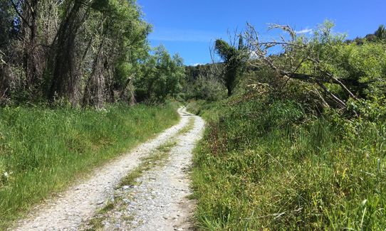 Kahikatea Trail, Tasman