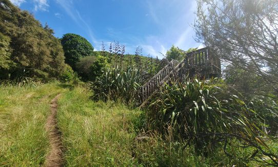 Kahu's Loop, Waikato