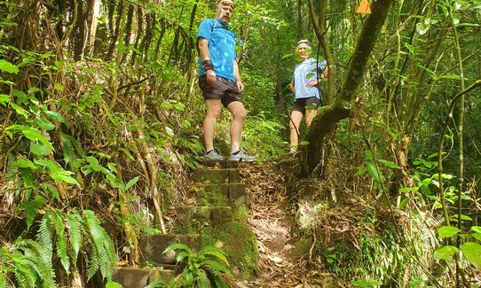 Kahu's Loop, Waikato