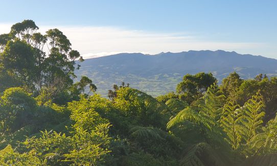 Kahu's Loop, Waikato