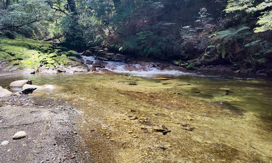 Kaimanawa Killer, Waikato