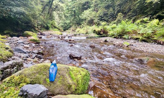 Kaimanawa Killer, Waikato
