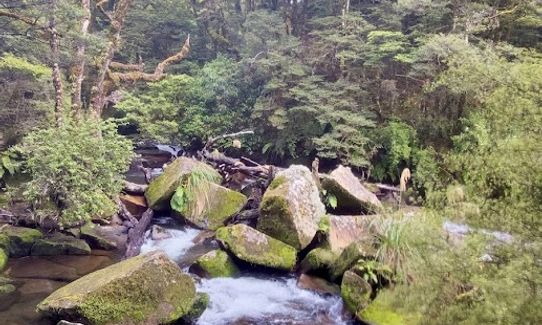 Kaimanawa Killer, Waikato