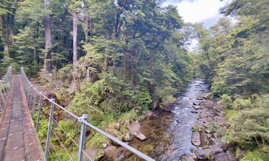 Kaimanawa Killer, Waikato