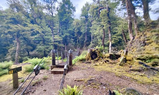 Kaimanawa Killer, Waikato