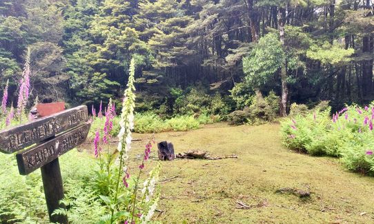 Kaimanawa Killer, Waikato