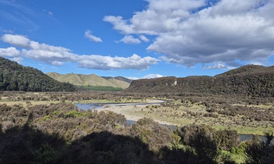Kaimanawa Killer v2, Waikato