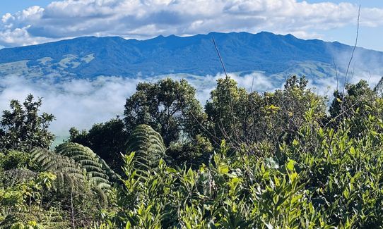 Kakepuku Climb, Waikato