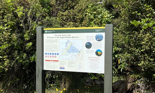 Kapiti Island Loop, Wellington