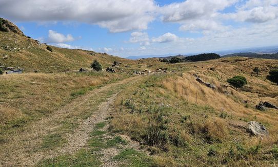 Karamu Walkway South, Waikato