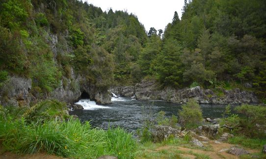 Trail Challenge Waihi official marathon, Waikato