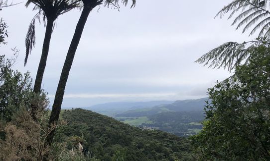 Karangahake Mountain Run, Bay of Plenty
