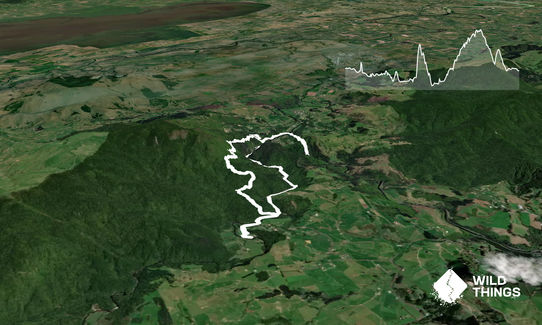 Trail Challenge Waihi mid course, Waikato