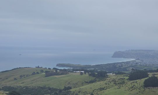 Karetai Soldier, Otago