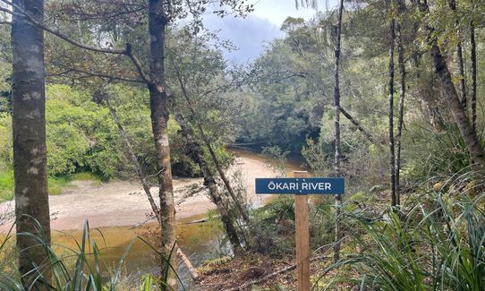 Ōkari to Kawatiri on the Coastal Trail, West Coast