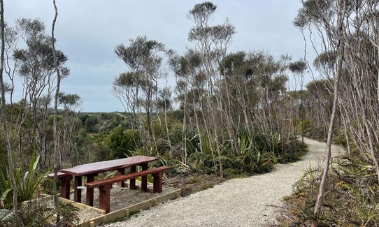 Ōkari to Kawatiri on the Coastal Trail, West Coast