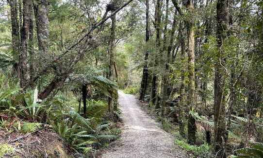 Ōkari to Kawatiri on the Coastal Trail, West Coast