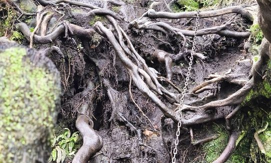 Karioi Traverse, Waikato