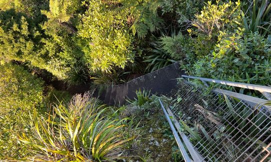 Karioi Traverse, Waikato