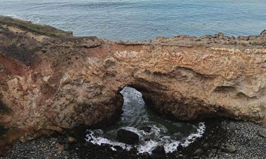 Karitane Kaper, Otago