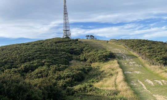 Kaukau Bells Loop, Wellington
