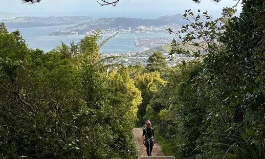 Kaukau Bells Loop, Wellington