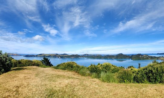 Kauri Block and Harray Trails, Waikato