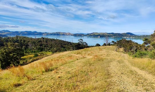 Kauri Block and Harray Trails, Waikato