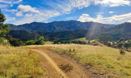 Kauri Block and Harray Trails, Waikato