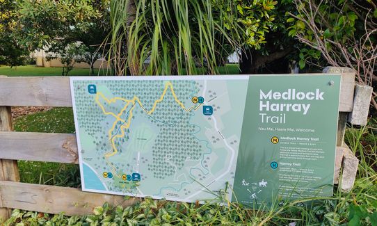 Kauri Block and Harray Trails, Waikato