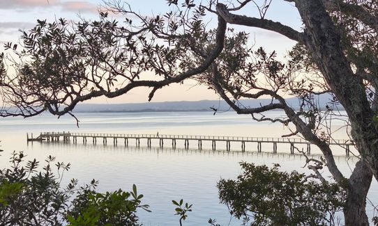 Kauri Point Kaper, Bay of Plenty