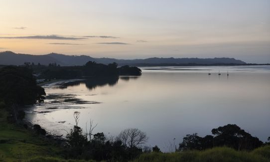 Kauri Point Kaper, Bay of Plenty