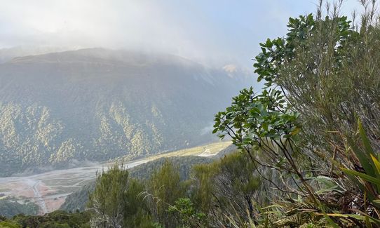 Kelly Range Ramble, West Coast