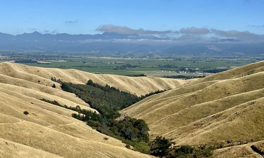 King and Queen of the Withers, Marlborough