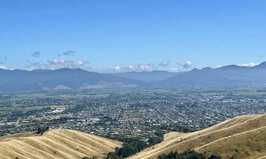 King and Queen of the Withers, Marlborough