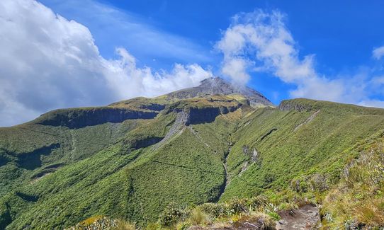 Kokowai Loop, Taranaki