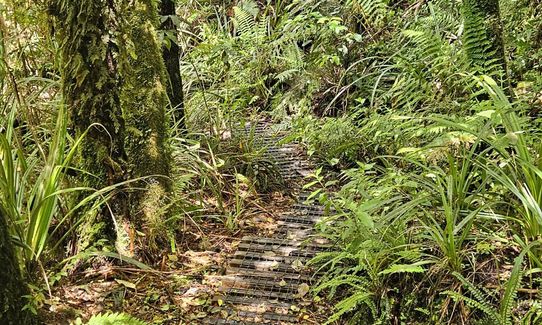 Kokowai Loop, Taranaki